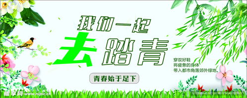 春意盎然·踏青季 室內廣告設計新趨勢與發布策略